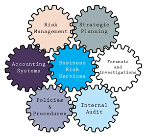 Business Risk